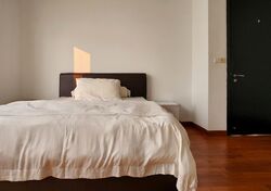 Braddell Heights Estate (D13), Detached #496711441